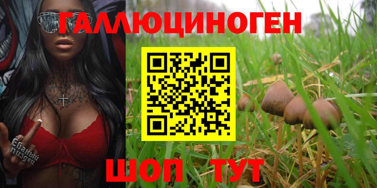 Галлюциногенные грибы GOLDEN TEACHER  Галлюциногенные грибы мухоморы  Новочебоксарск  Вход с VPN 